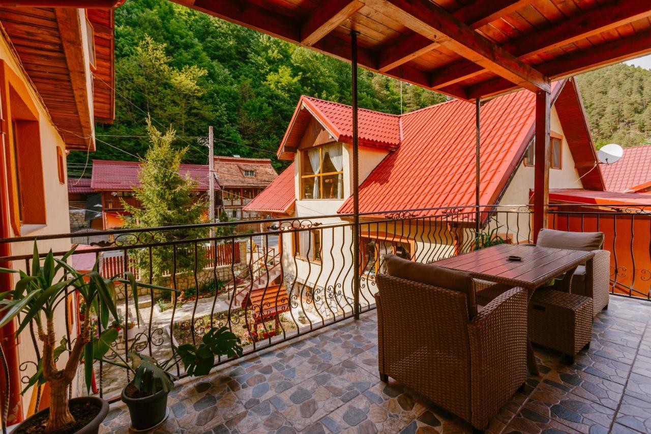 Pensiunea Luka Slanic Moldova Ngoại thất bức ảnh