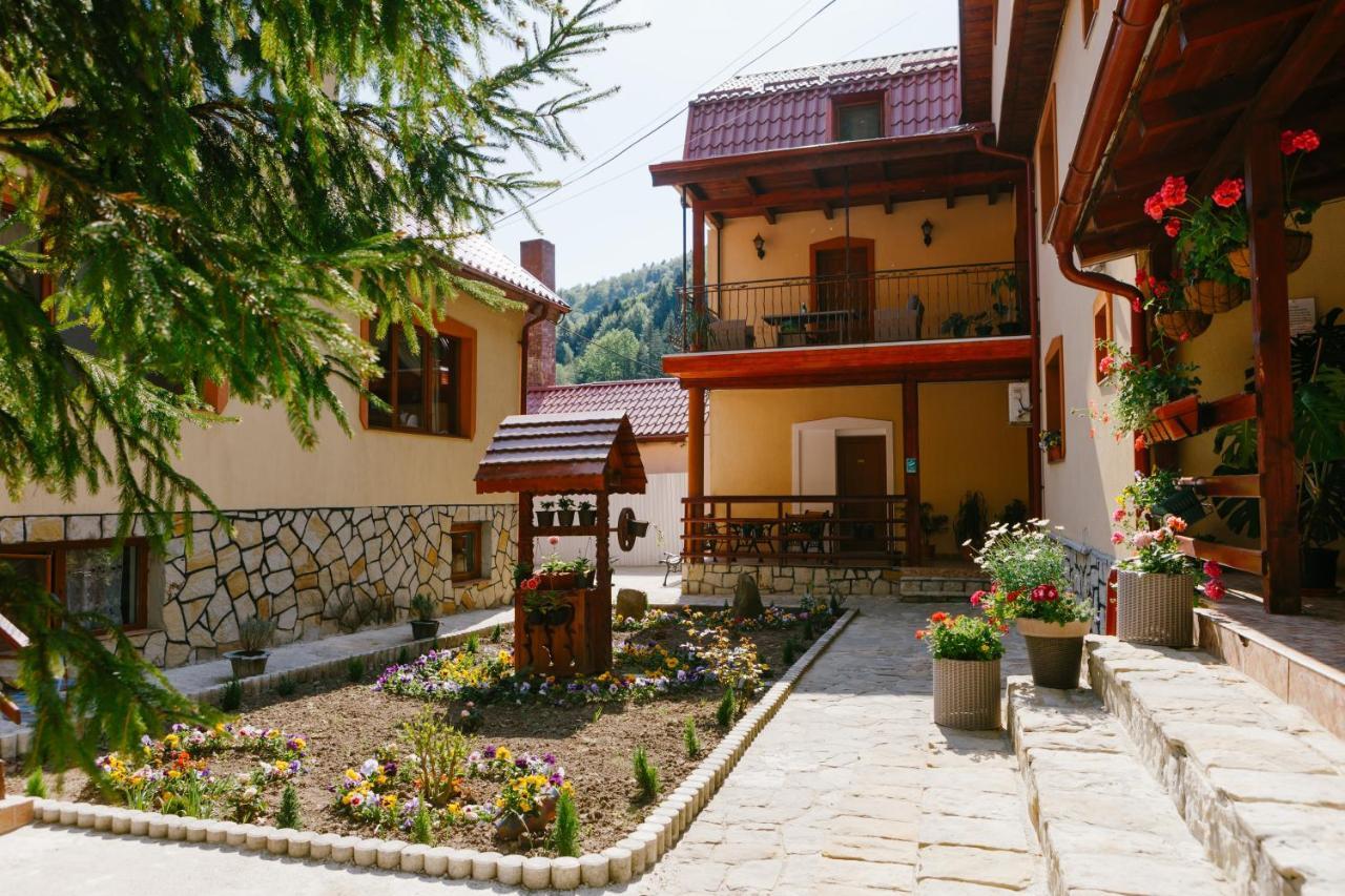 Pensiunea Luka Slanic Moldova Ngoại thất bức ảnh