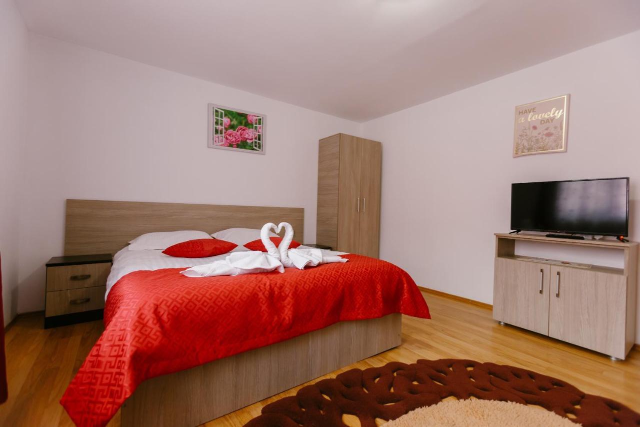 Pensiunea Luka Slanic Moldova Ngoại thất bức ảnh
