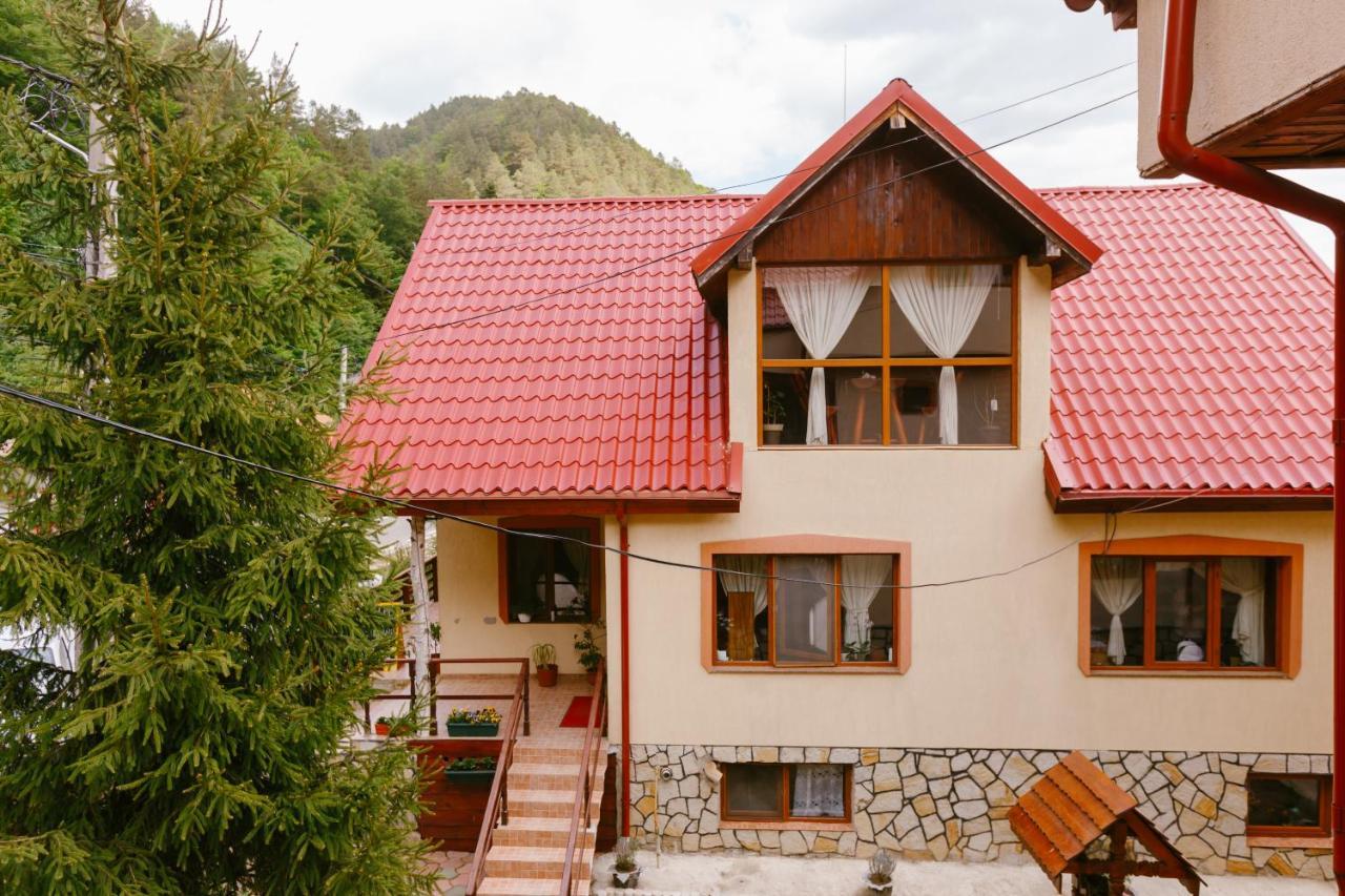 Pensiunea Luka Slanic Moldova Ngoại thất bức ảnh