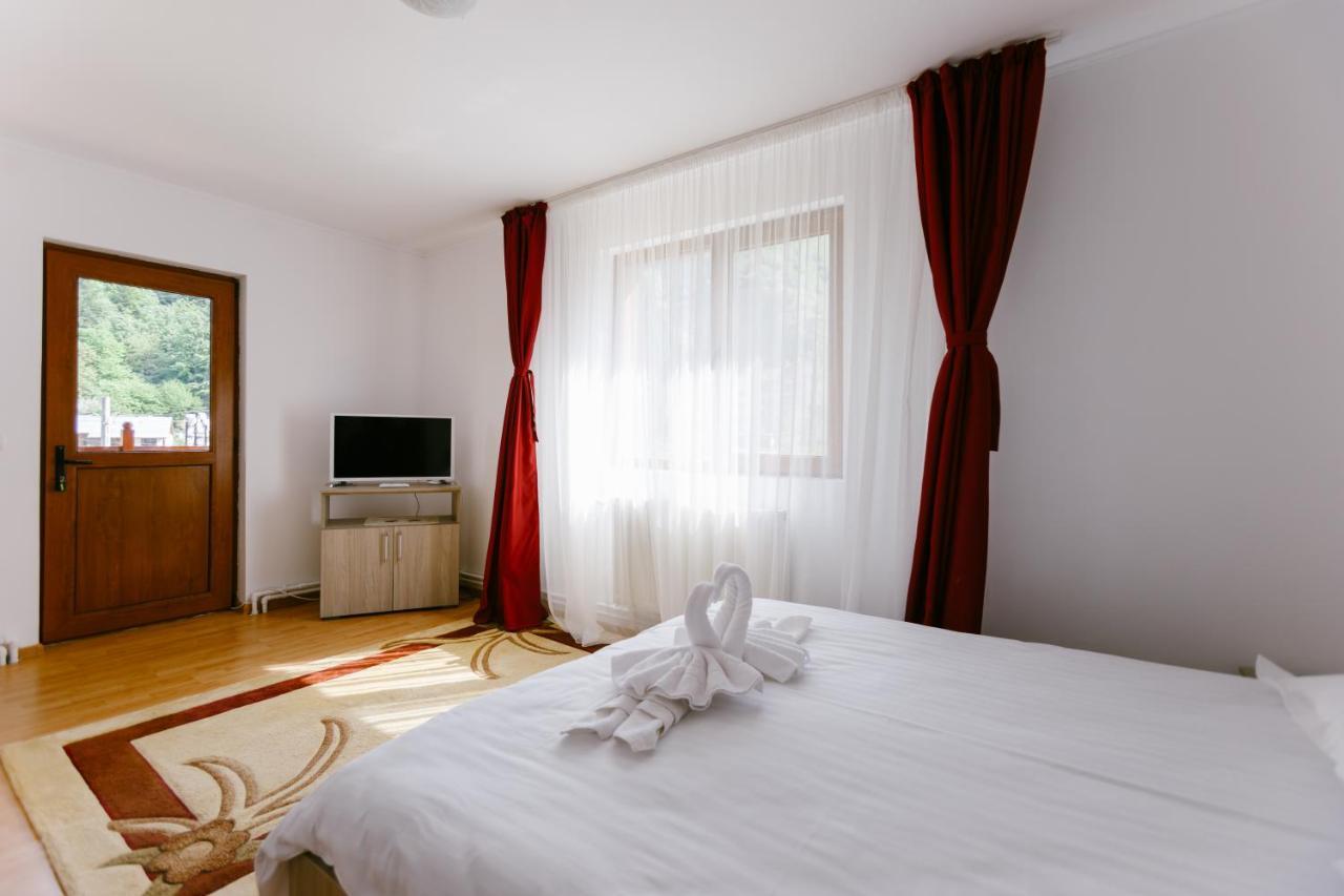 Pensiunea Luka Slanic Moldova Ngoại thất bức ảnh