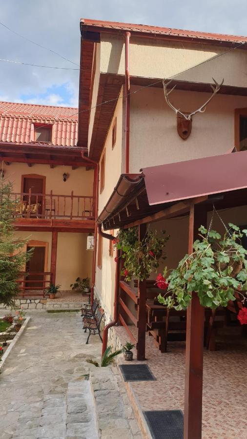 Pensiunea Luka Slanic Moldova Ngoại thất bức ảnh